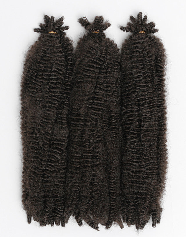 X-Pression Twisted Up Springy Afro Twist 16"