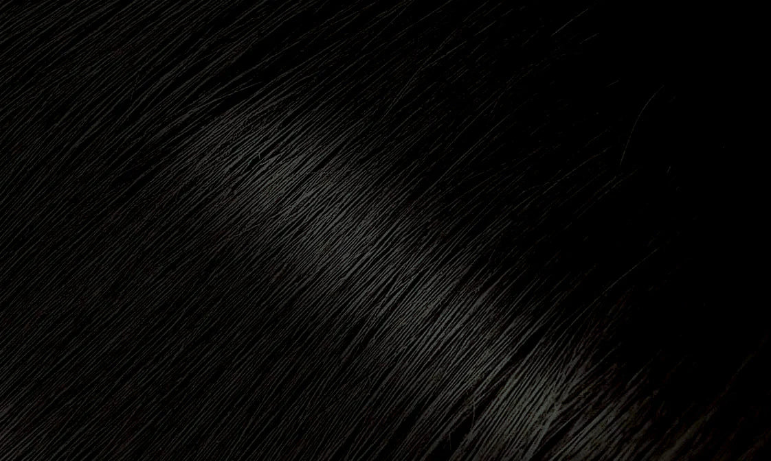 Bigen Hair Colour