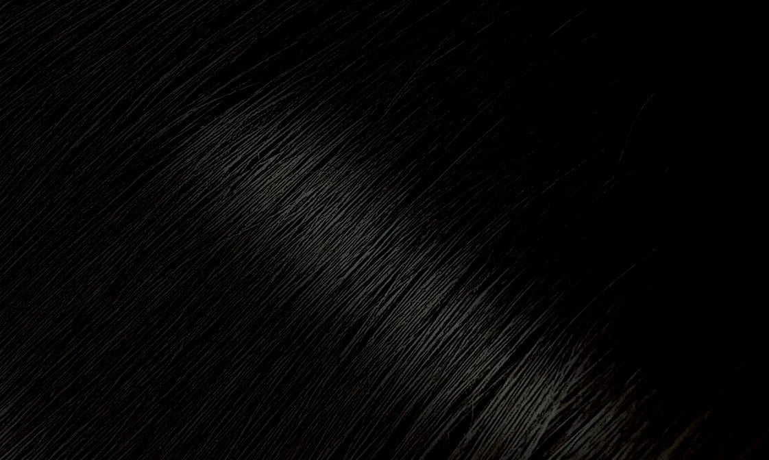 Bigen Hair Colour