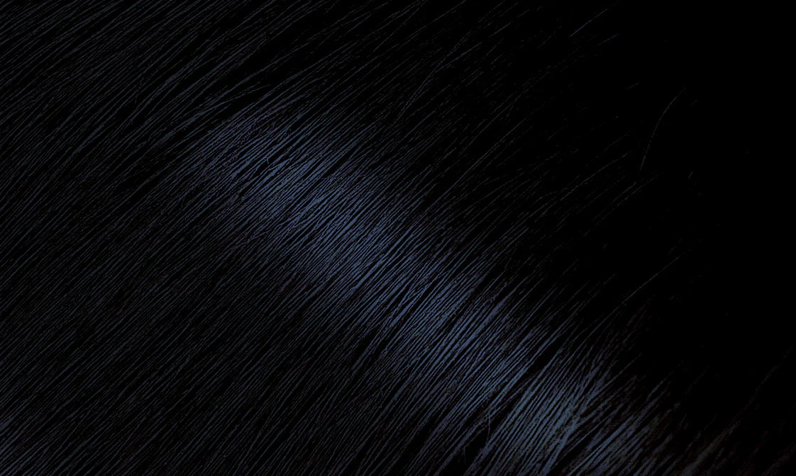 Bigen Hair Colour