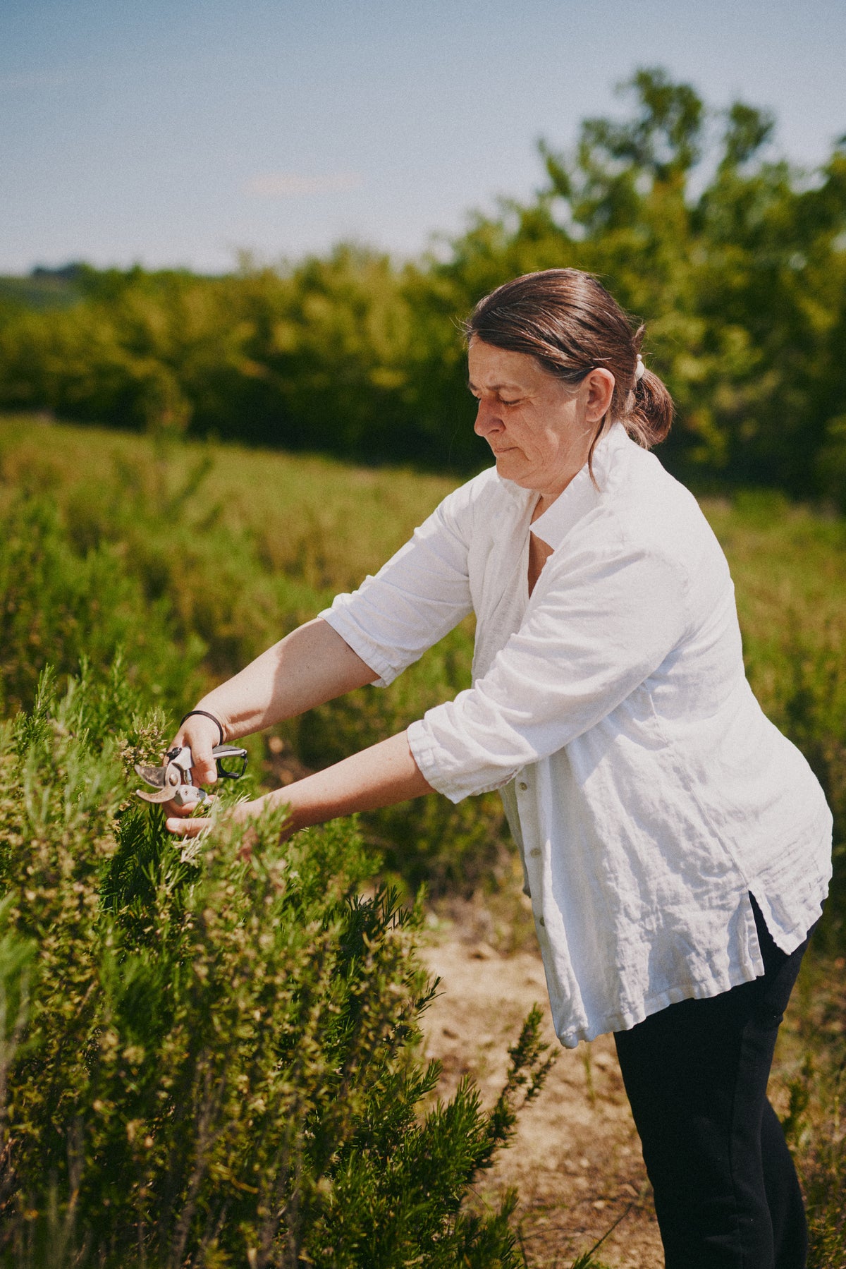 Organic Naturavit Rosmarinolja 3.5oz