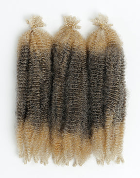 X-Pression Twisted Up Springy Afro Twist 16"