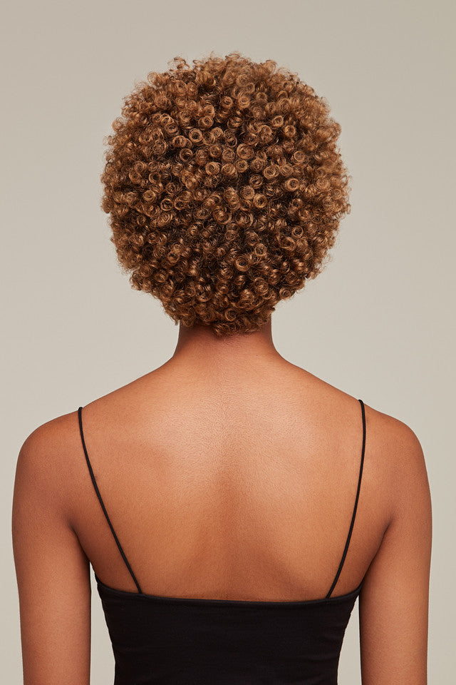 Afro Lace Wig - Soft Natural Curl