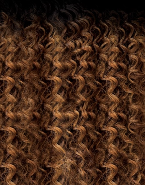 Melted Hairline Swirlista HD Lace Front Wig Swirl 103 22"